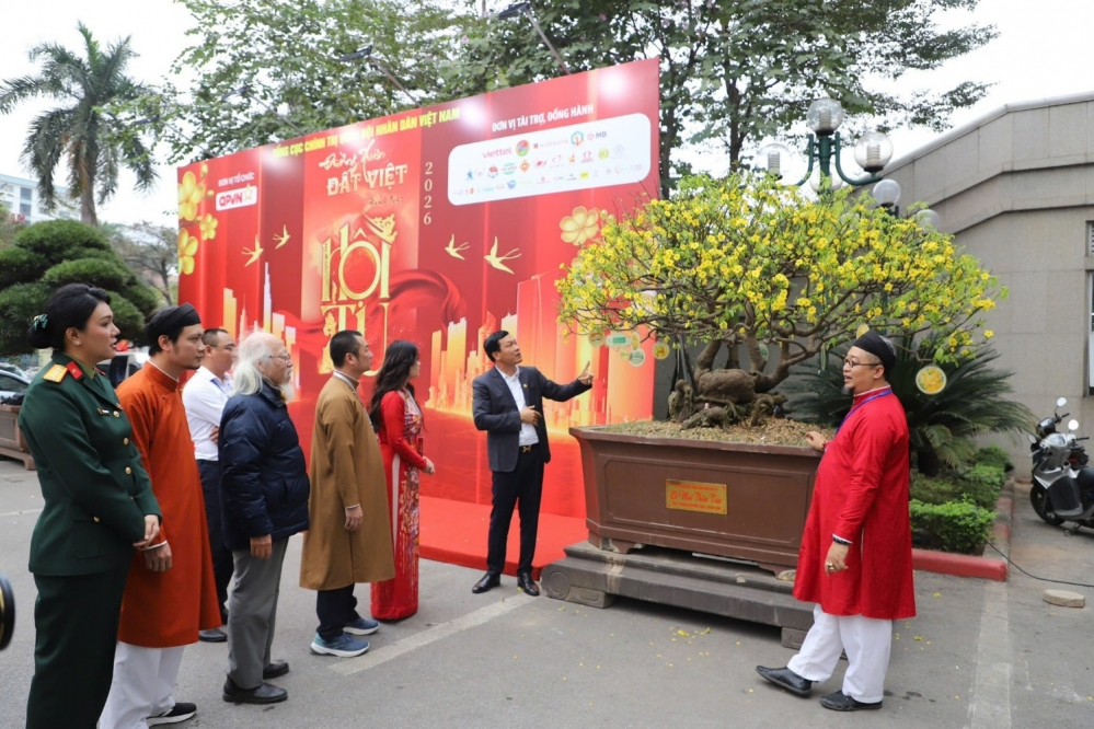 Hoàng Mai Yên Tử món quà đặc sắc, tiêu biểu của đất mỏ Quảng Ninh tô điểm cho mùa xuân Bính Ngọ 2026.